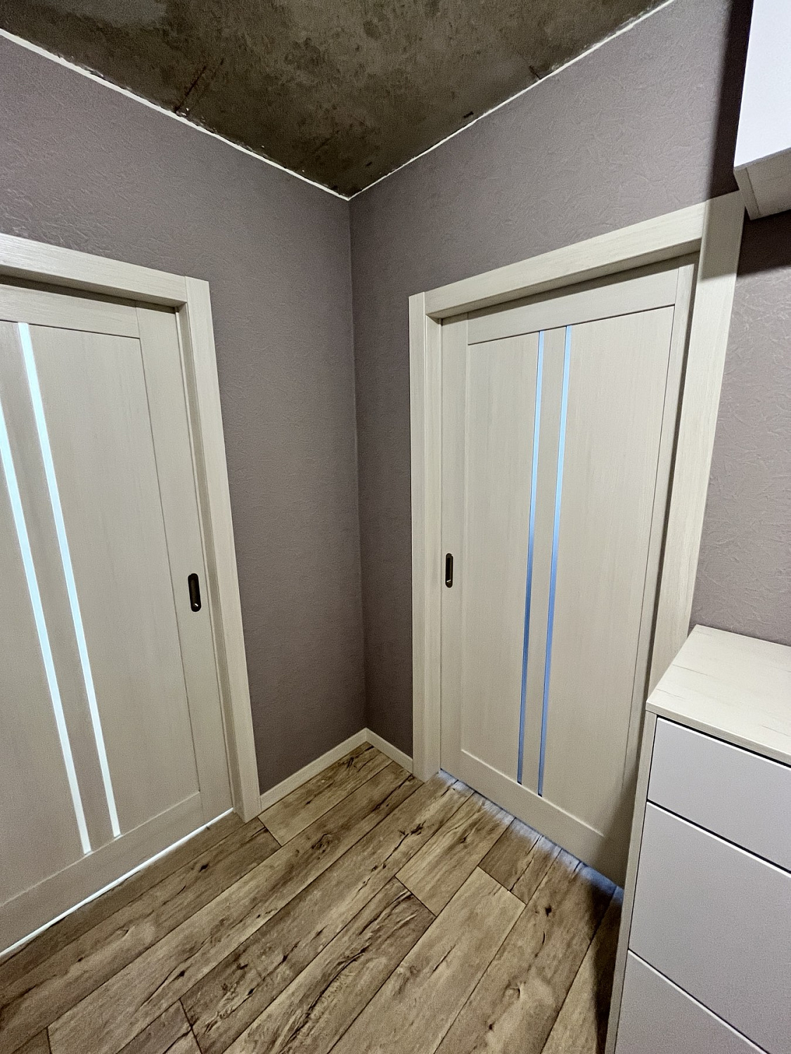 Вертикаль-1